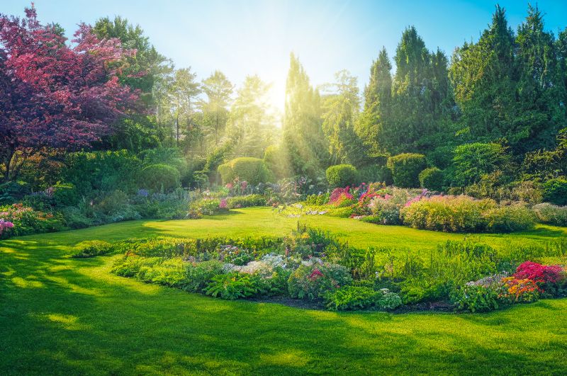 Landscape Planning Service in Honolulu, HI