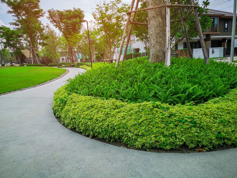 Tree Edging Installation in Citrus County, FL
