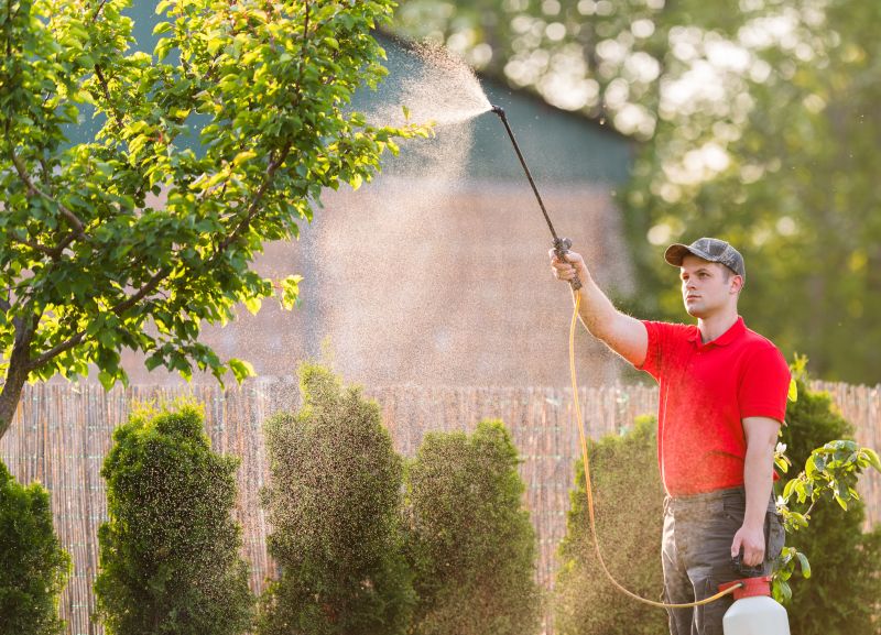 Arborist Spraying in Reno, NV