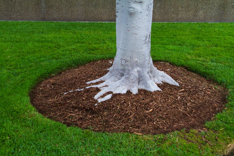 Brown Mulch Installation in Honolulu, HI