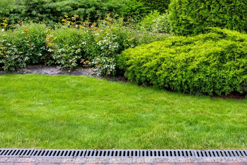 Dryscape Landscaping in Ventura County, CA