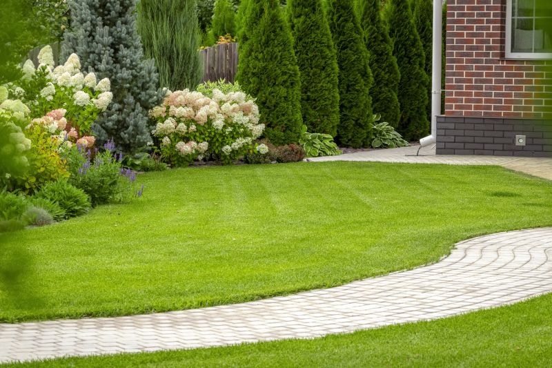 Landscaping Design And Installation detail