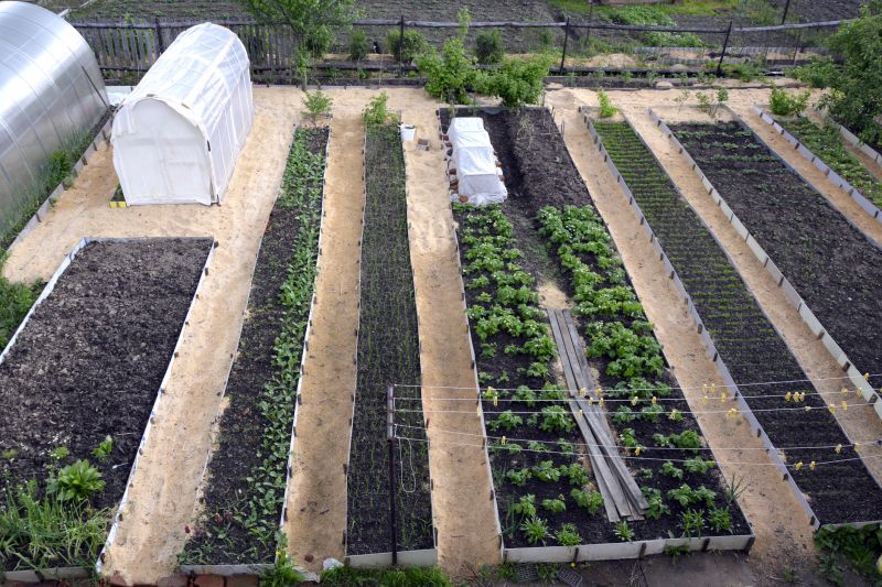 Garden Bed Construction in Honolulu, HI