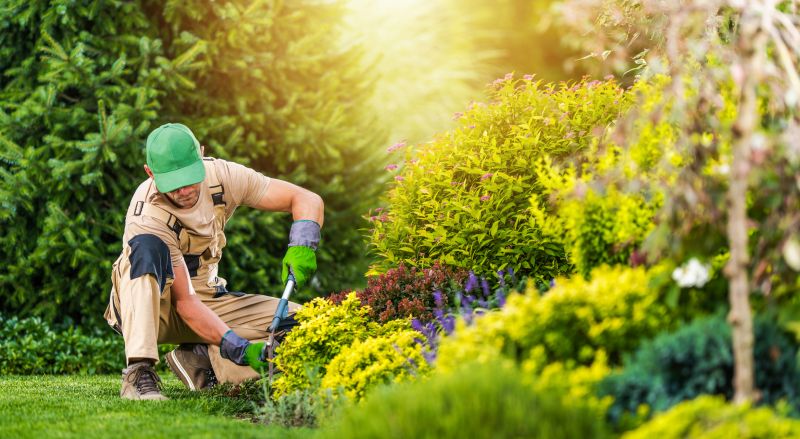 Garden Care Service in Honolulu, HI