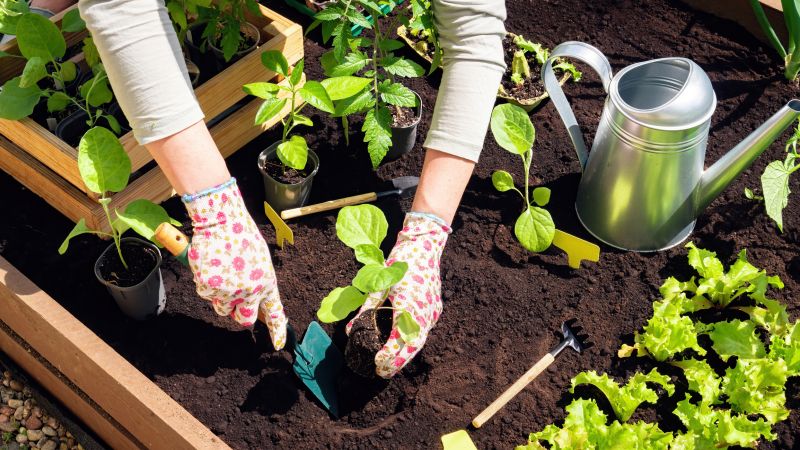 Garden Planting Service in Honolulu, HI