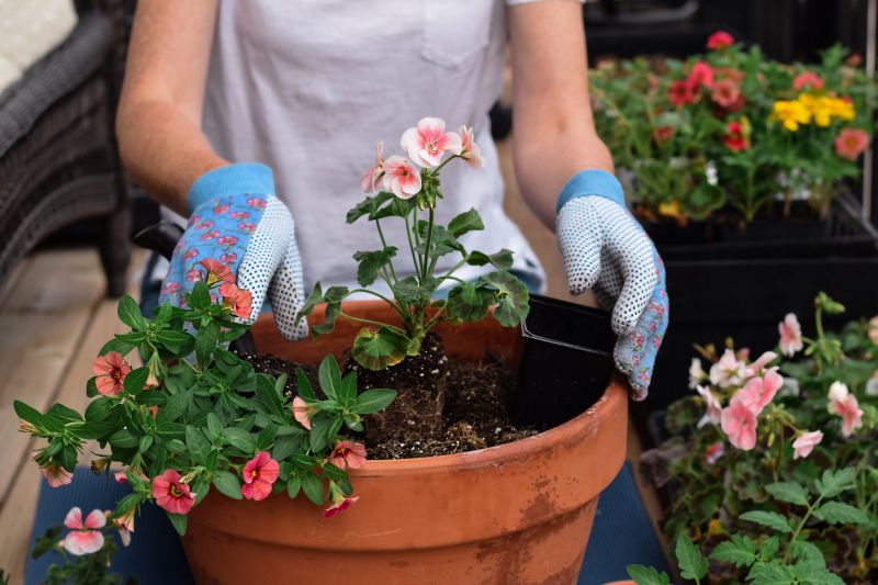 Garden Planting Service in Honolulu, HI