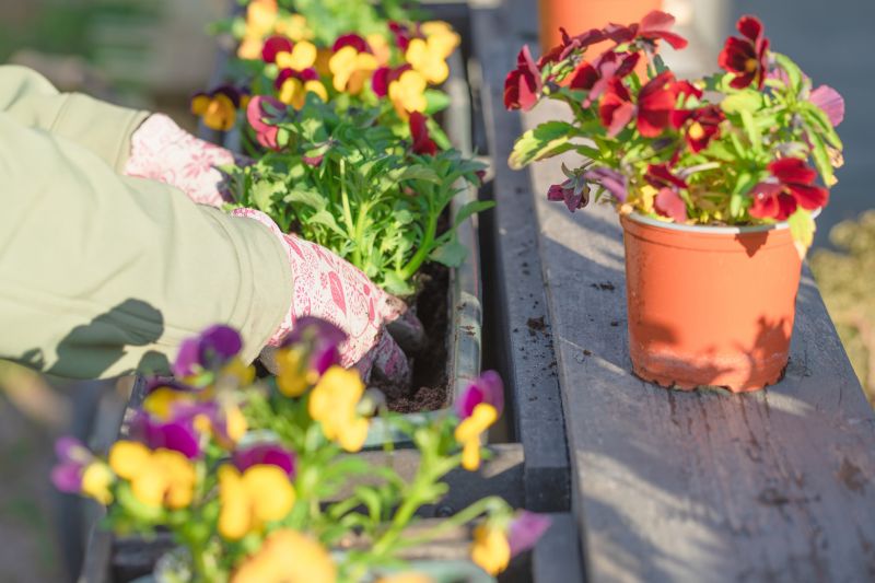 Garden Planting Service in Honolulu, HI