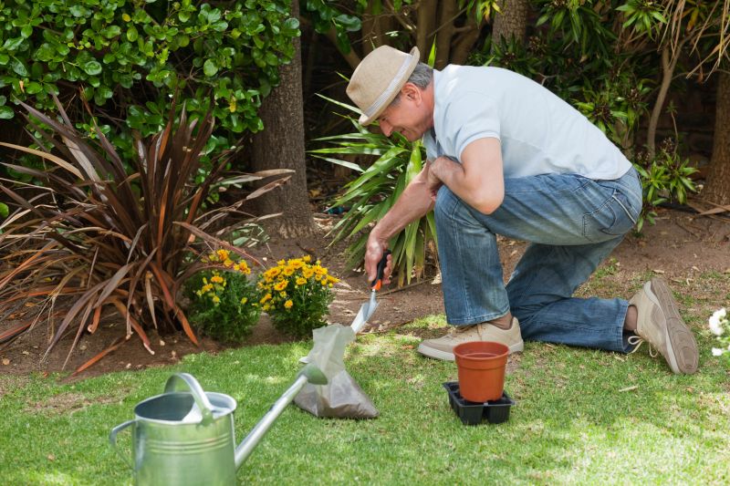 Ground Cover Planting in Honolulu, HI