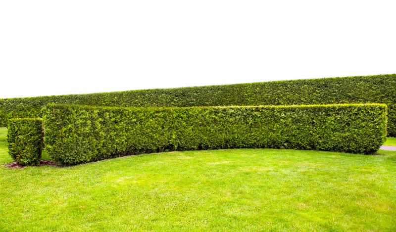 Hedge Landscaping in Ventura County, CA