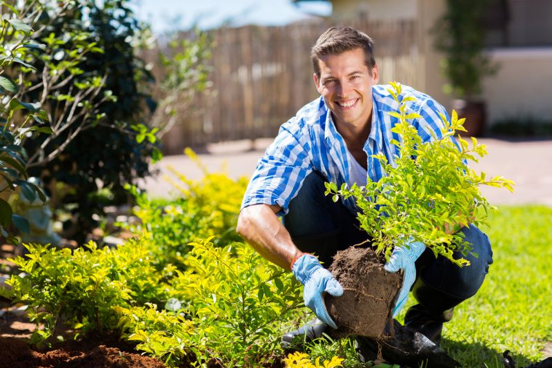 Landscape Planting Service in Ventura County, CA