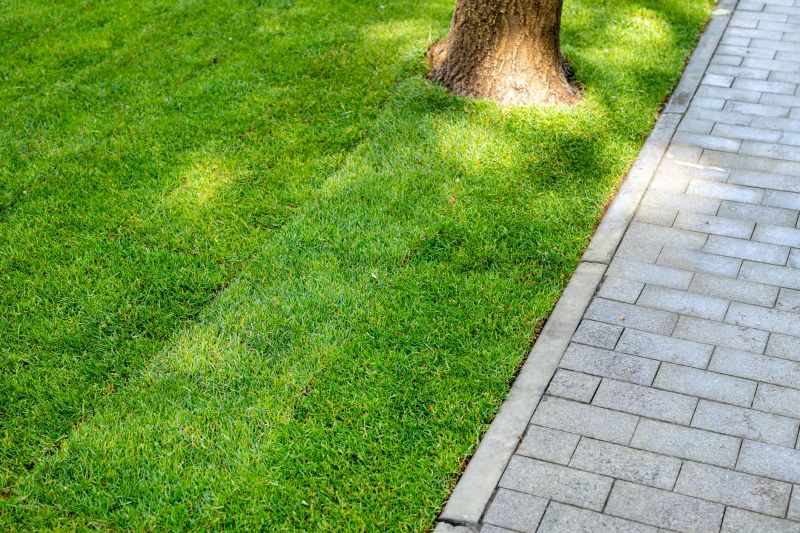 Pathway Landscaping in Ventura County, CA