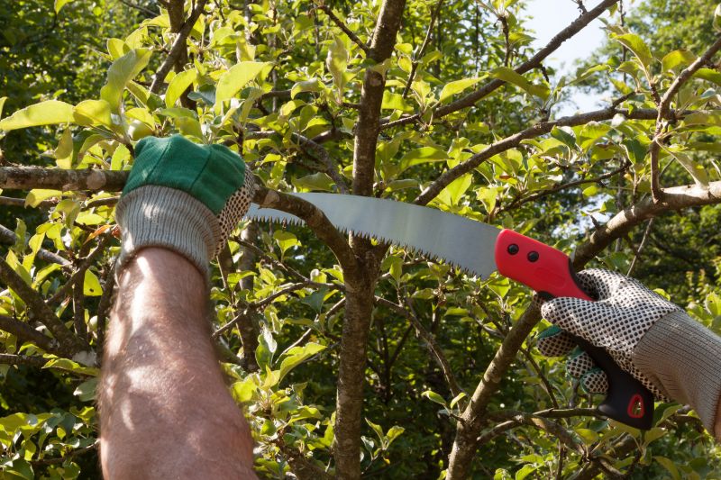 Shrub Care Service in Reno, NV