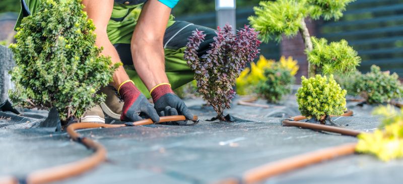Softscaping Service in Ventura County, CA