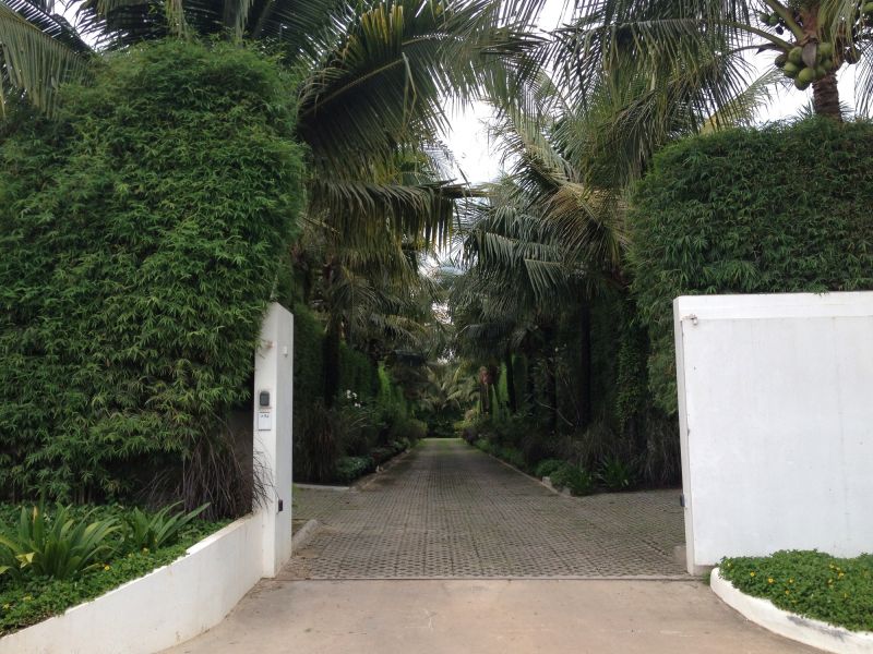Tree Landscaping in Ventura County, CA